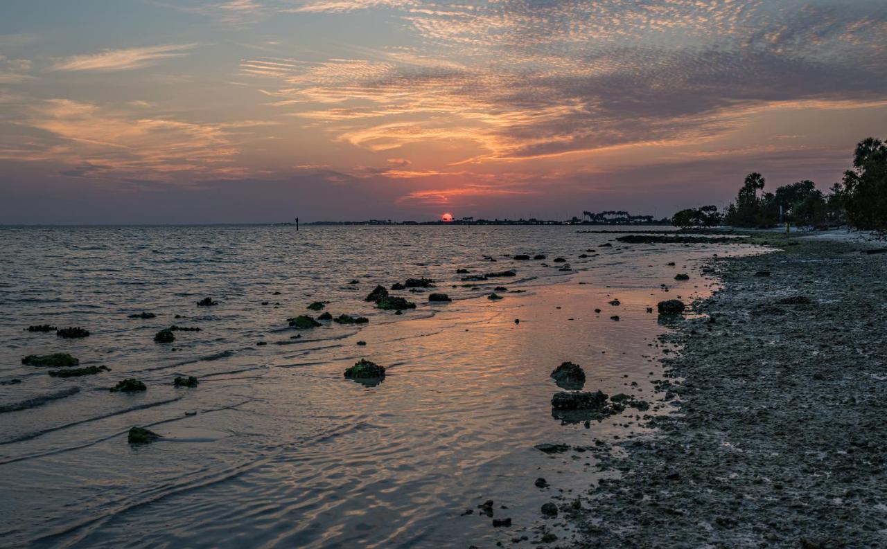 Sunset Paradise - Find Yourself In تامبا المظهر الخارجي الصورة